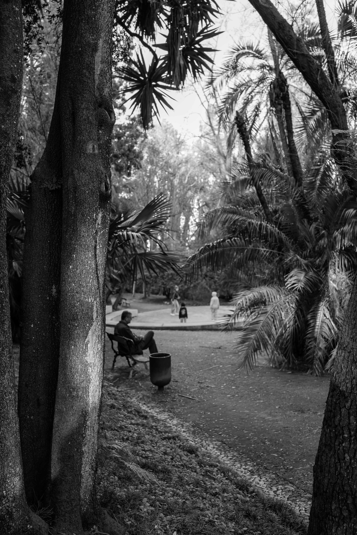 men sitting in a park