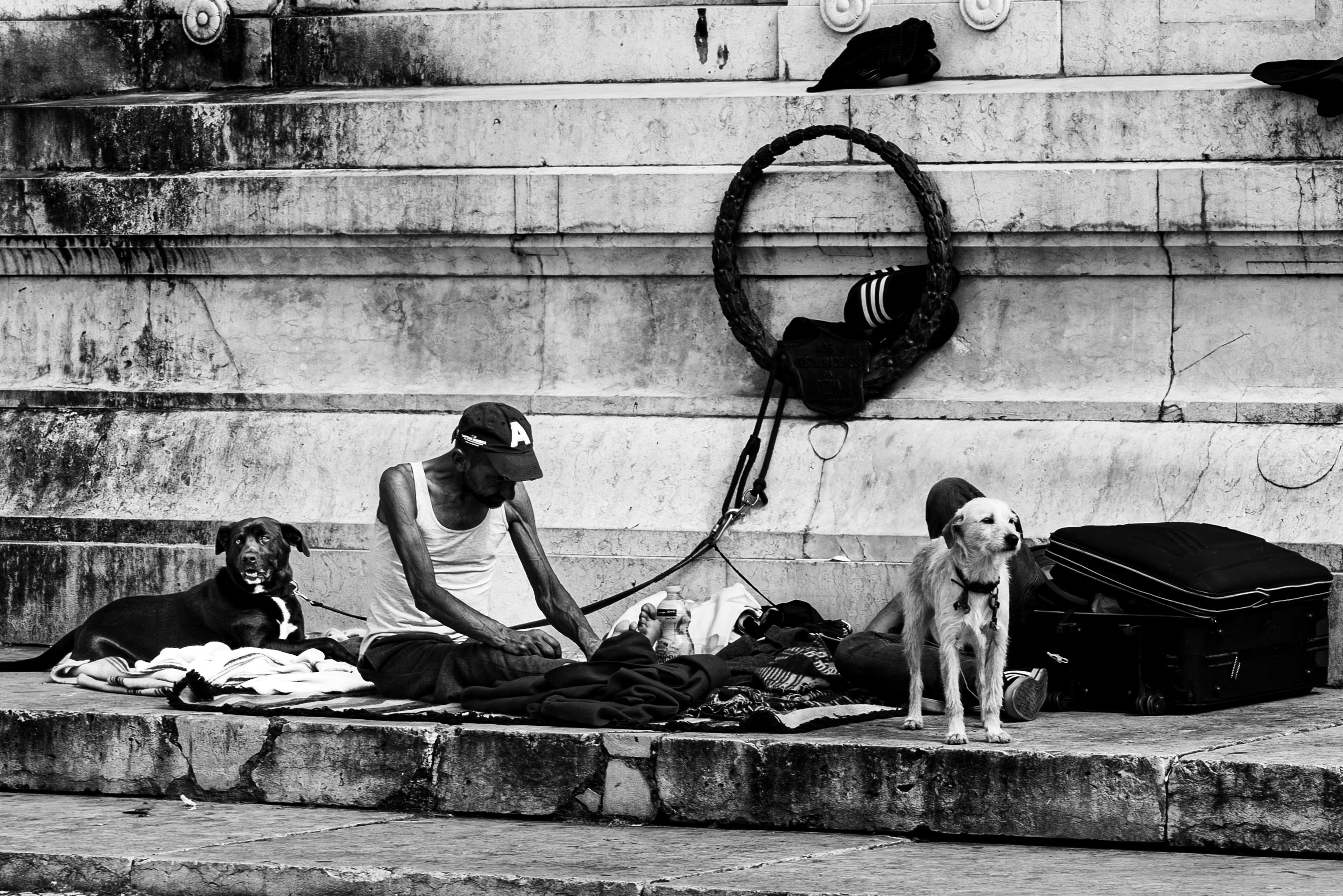 Black and white street photograph of a man sitting on stone steps with his belongings and bedding, accompanied by two dogs, in front of a weathered monument wall.