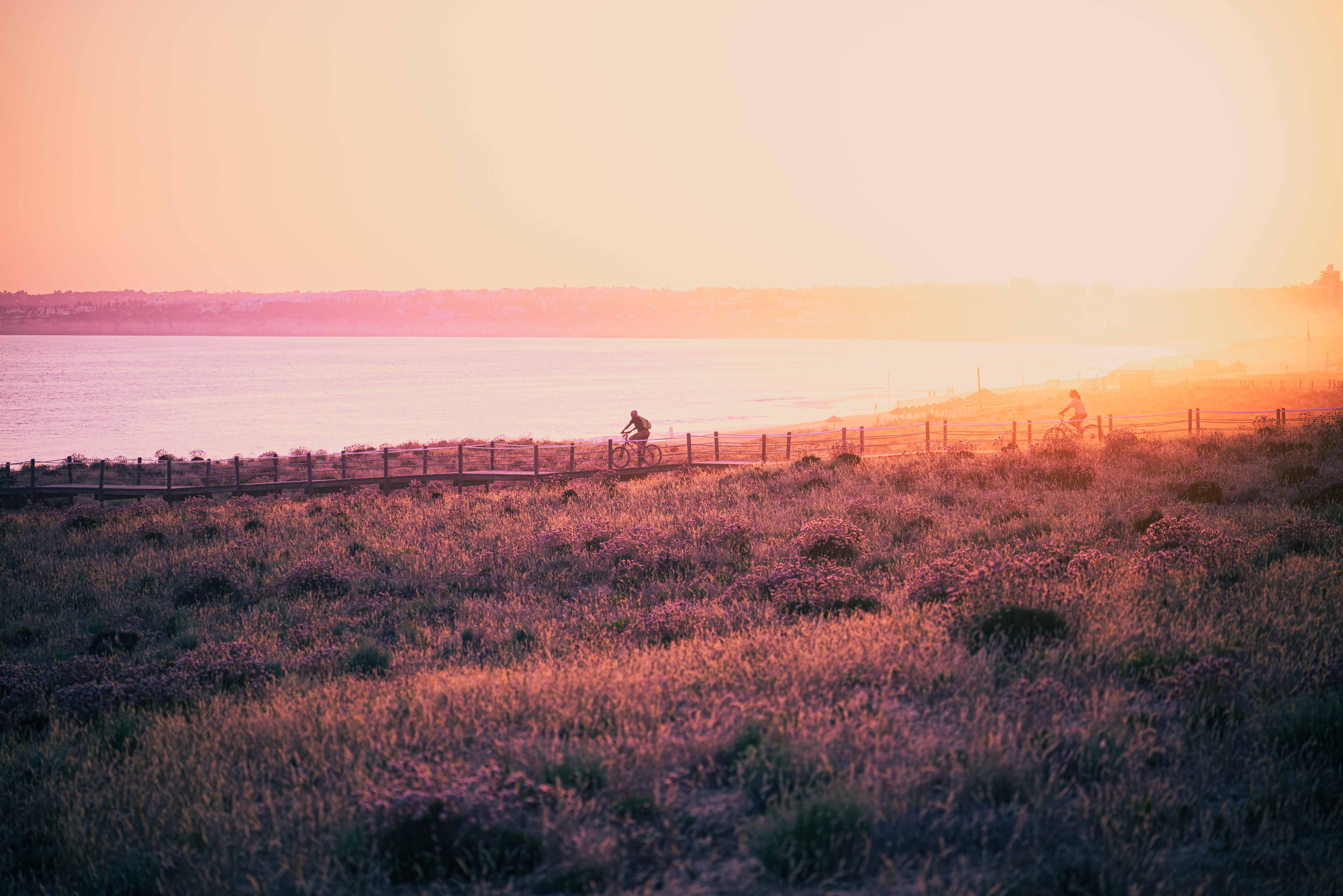 cyclists in the beach trail