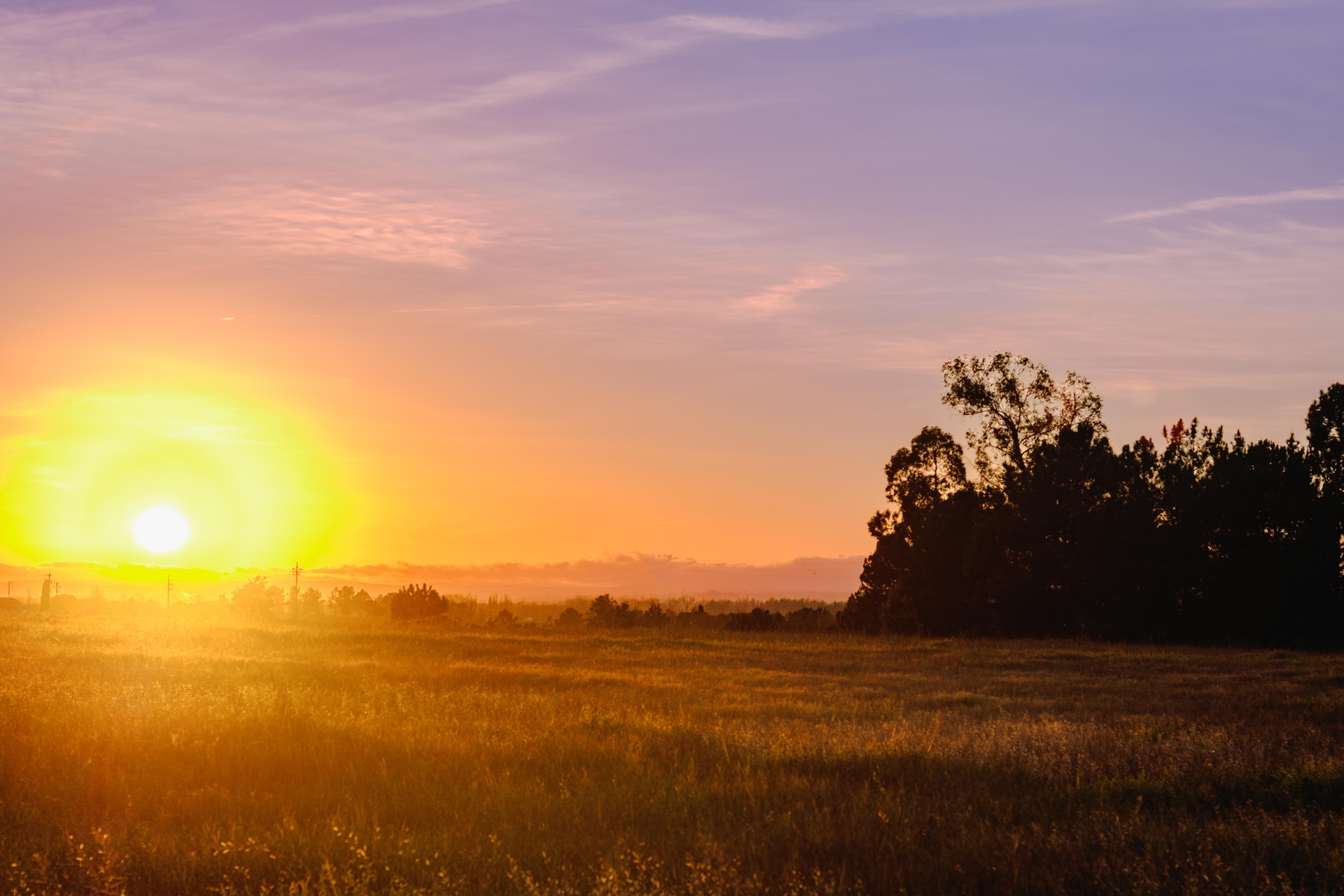 sunset in a field